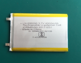 株洲電池樣品-湖南手持噴碼機